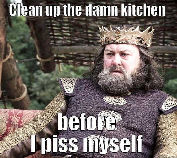 CLEAN UP THE DAMN KITCHEN BEFORE I PISS MYSELF Misc