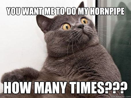 you want me to do my hornpipe  how many times???  conspiracy cat