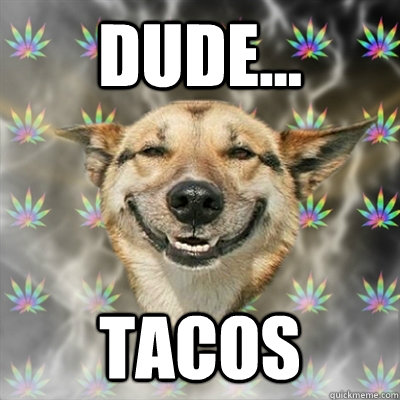 dude... tacos  Stoner Dog