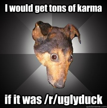 I would get tons of karma if it was /r/uglyduck - I would get tons of karma if it was /r/uglyduck  Depression Dog