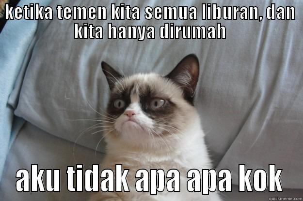 KETIKA TEMEN KITA SEMUA LIBURAN, DAN KITA HANYA DIRUMAH AKU TIDAK APA APA KOK Grumpy Cat