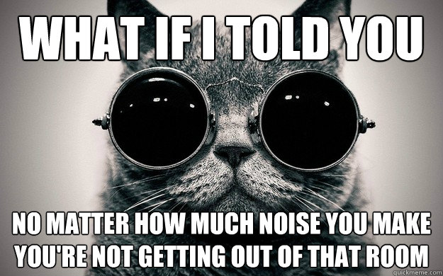 What if i told you No matter how much noise you make you're not getting out of that room - What if i told you No matter how much noise you make you're not getting out of that room  Morpheus Cat Facts