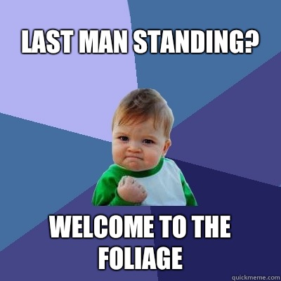 Last man standing? Welcome to the foliage - Last man standing? Welcome to the foliage  Success Kid