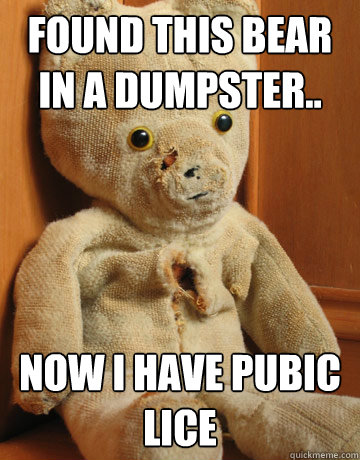 Found this bear in a dumpster.. now i have pubic lice  - Found this bear in a dumpster.. now i have pubic lice   Dumpster Bear