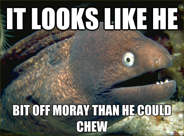 It looks like he bit off Moray than he could chew  Bad Joke Eel