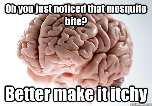 Oh you just noticed that mosquito bite? Better make it itchy  Scumbag Brain