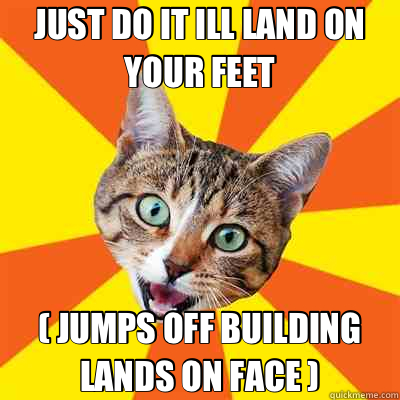 JUST DO IT ILL LAND ON YOUR FEET ( JUMPS OFF BUILDING LANDS ON FACE )  Bad Advice Cat