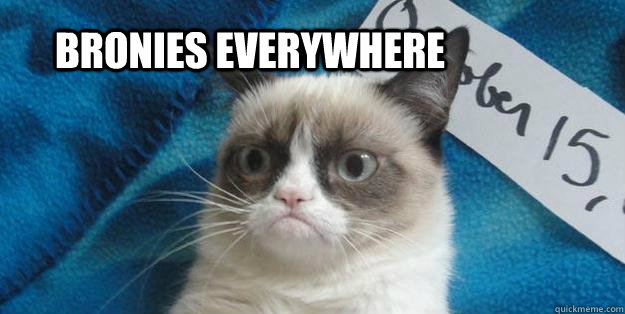 Bronies everywhere  Grumpy Cat