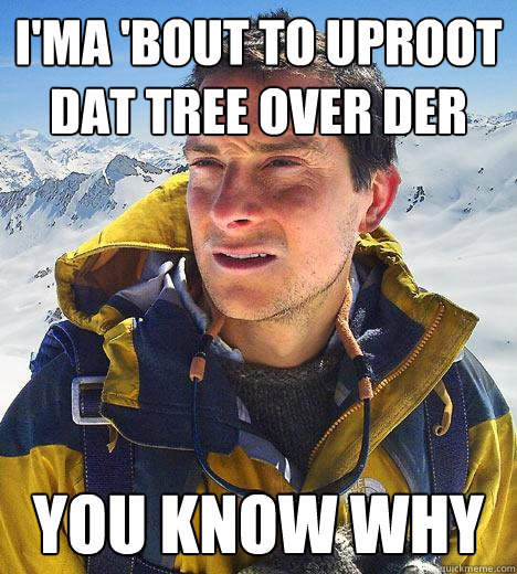 I'ma 'bout to uproot dat tree over der you know why  Bear Grylls