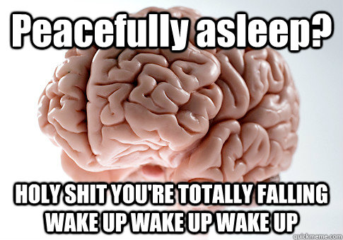 Peacefully asleep? HOLY SHIT YOU'RE TOTALLY FALLING WAKE UP WAKE UP WAKE UP  Scumbag Brain