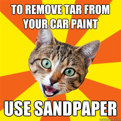 to remove tar from your car paint use sandpaper  Bad Advice Cat