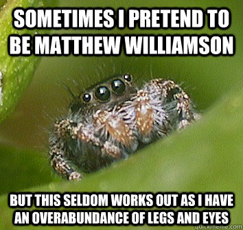 sometimes i pretend to be matthew williamson but this seldom works out as i have an overabundance of legs and eyes  Misunderstood Spider