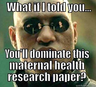    WHAT IF I TOLD YOU...        YOU'LL DOMINATE THIS MATERNAL HEALTH RESEARCH PAPER? Matrix Morpheus