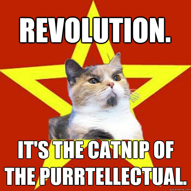 Revolution. It's the catnip of the purrtellectual.  Lenin Cat