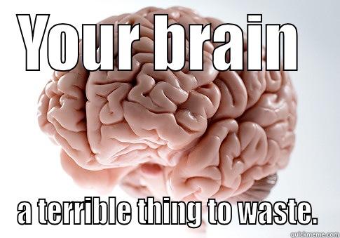 YOUR BRAIN  A TERRIBLE THING TO WASTE. Scumbag Brain