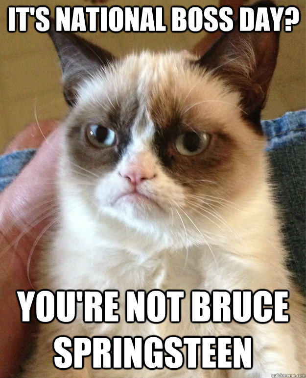 It's National Boss Day? You're not Bruce Springsteen  Grumpy Cat