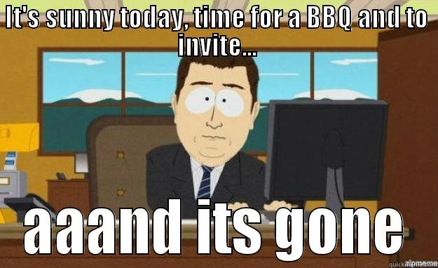 IT'S SUNNY TODAY, TIME FOR A BBQ AND TO INVITE... AAAND ITS GONE aaaand its gone