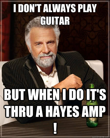 I don't always play guitar  But when I do it's thru a Hayes amp !  The Most Interesting Man In The World