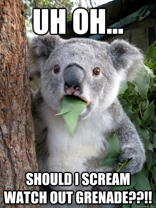 Uh oh... Should I scream Watch out grenade??!!  koala bear