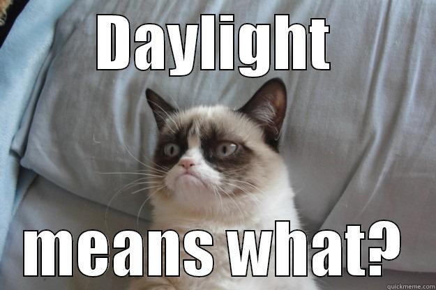 Daylight is for nutters - DAYLIGHT MEANS WHAT? Grumpy Cat