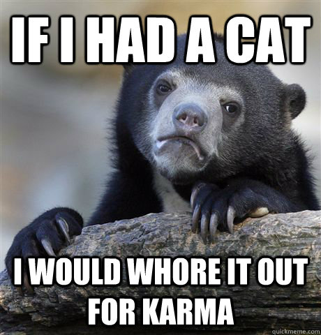 If i had a cat i would whore it out for karma  Confession Bear