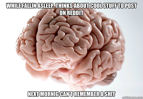 While fallin asleep, thinks about cool stuff to post on Reddit Next mornig can't remember a shit  Scumbag Brain