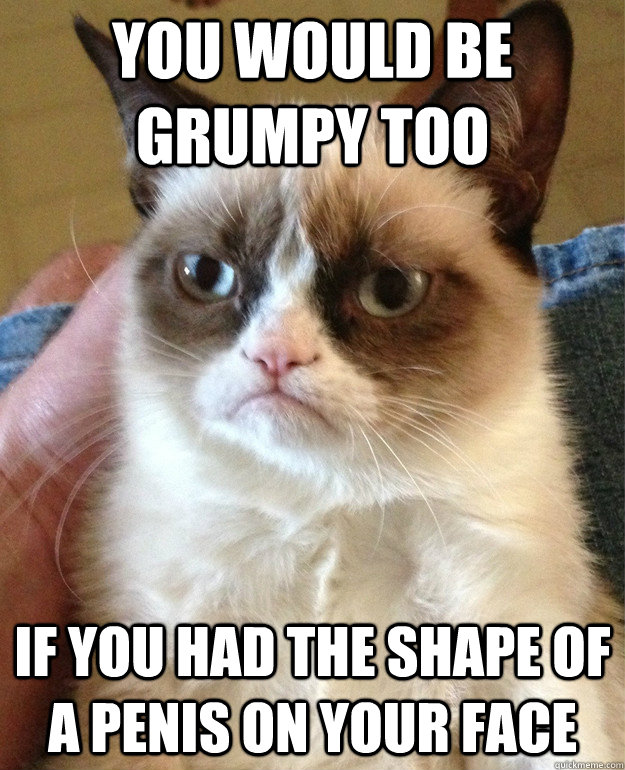 you would be grumpy too If you had the shape of a penis on your face  Grumpy Cat