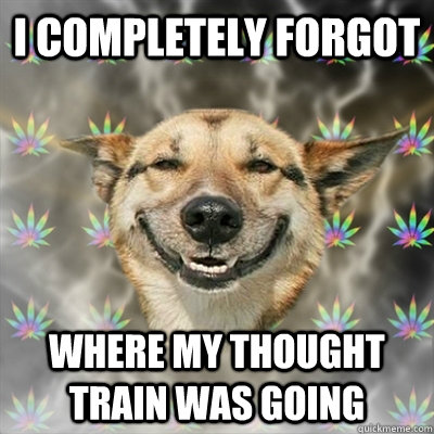 I completely forgot Where my thought train was going  Stoner Dog