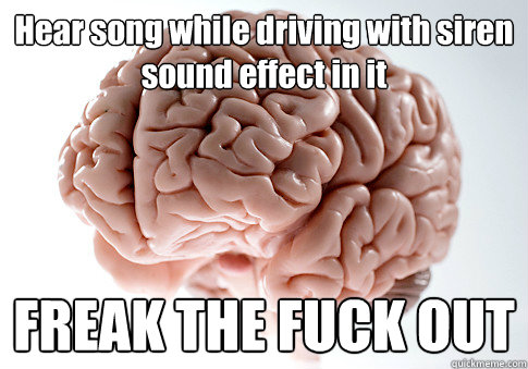 Hear song while driving with siren sound effect in it FREAK THE FUCK OUT   Scumbag Brain