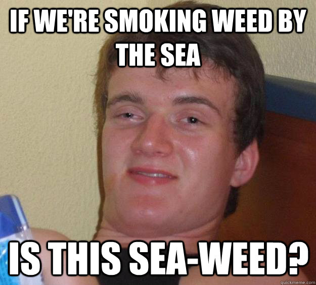 If we're smoking weed by the sea Is this sea-weed? - If we're smoking weed by the sea Is this sea-weed?  10 Guy