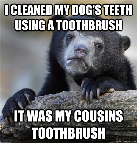 i cleaned my dog's teeth using a toothbrush it was my cousins toothbrush  Confession Bear