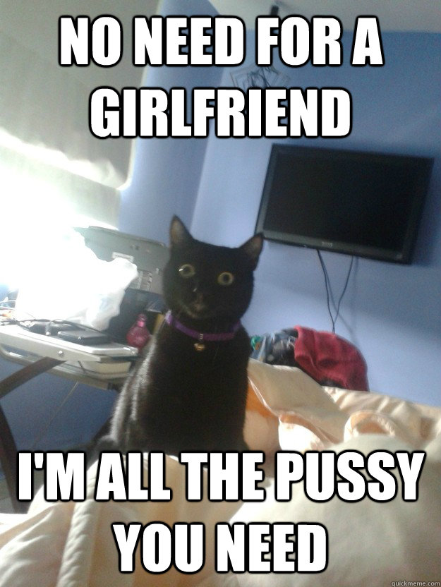 no need for a girlfriend I'm all the pussy you need  overly attached cat