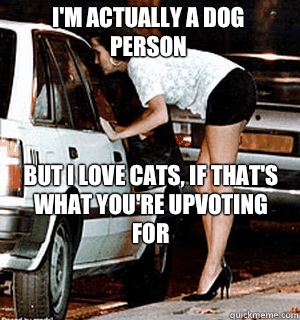 I'm actually a dog person but i Love cats, if that's 
what you're upvoting for  Karma Whore