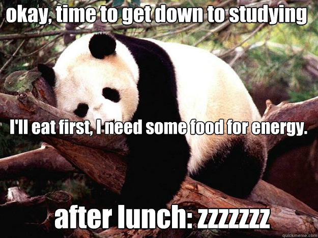 okay, time to get down to studying I'll eat first, I need some food for energy. after lunch: zzzzzzz  Procrastination Panda