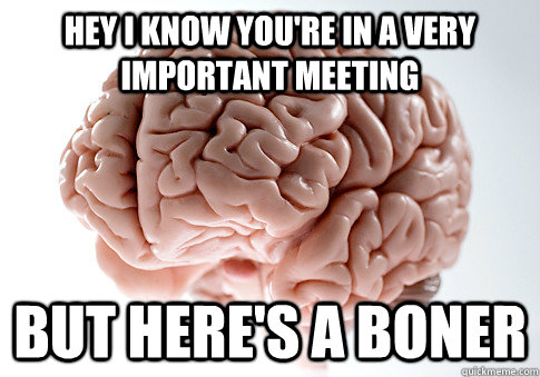 hey i know you're in a very important meeting but here's a boner - hey i know you're in a very important meeting but here's a boner  Scumbag Brain