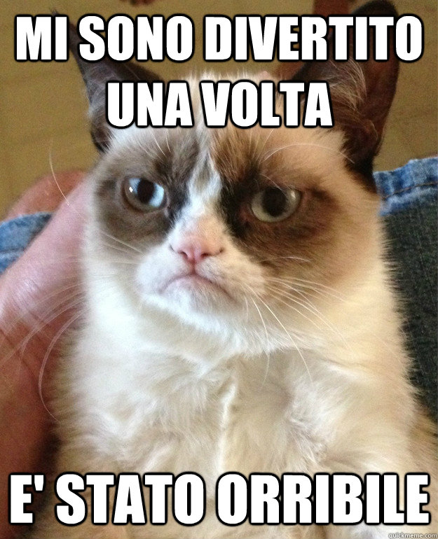 mi sono divertito una volta e' stato orribile  Grumpy Cat