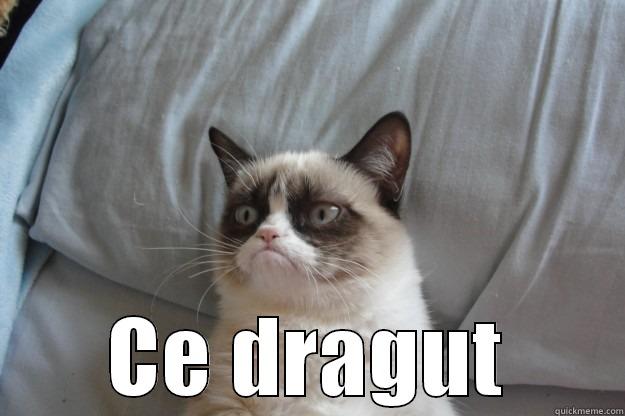 Ce dragut -  CE DRAGUT Grumpy Cat