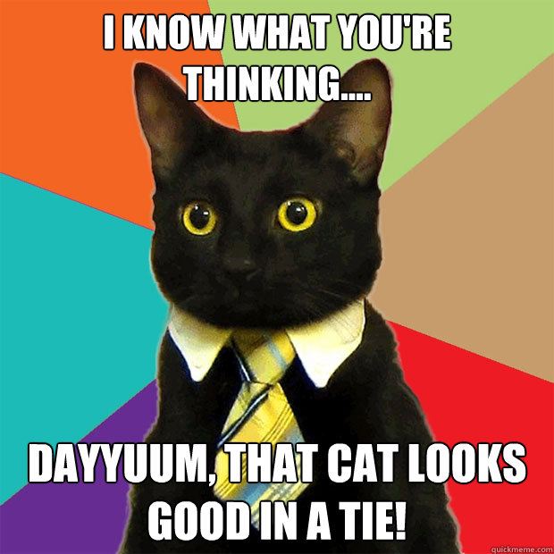 I know what you're thinking.... DAYYUUM, THAT CAT LOOKS GOOD IN A TIE!  Business Cat