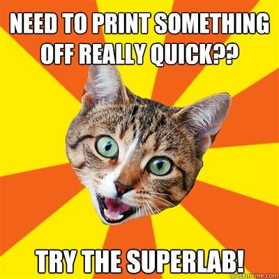 need to print something off really quick?? try the superlab!  Bad Advice Cat