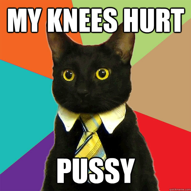 My knees hurt Pussy  Business Cat