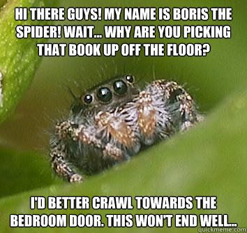 Hi there guys! My name is Boris the Spider! Wait... Why are you picking that book up off the floor? I'd better crawl towards the bedroom door. This Won't end well... - Hi there guys! My name is Boris the Spider! Wait... Why are you picking that book up off the floor? I'd better crawl towards the bedroom door. This Won't end well...  Misunderstood Spider