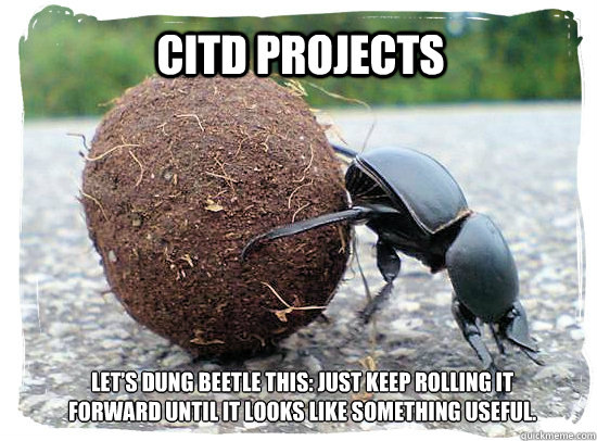 CITD Projects Let’s dung beetle this: Just keep rolling it forward until it looks like something useful.  - CITD Projects Let’s dung beetle this: Just keep rolling it forward until it looks like something useful.   Projects