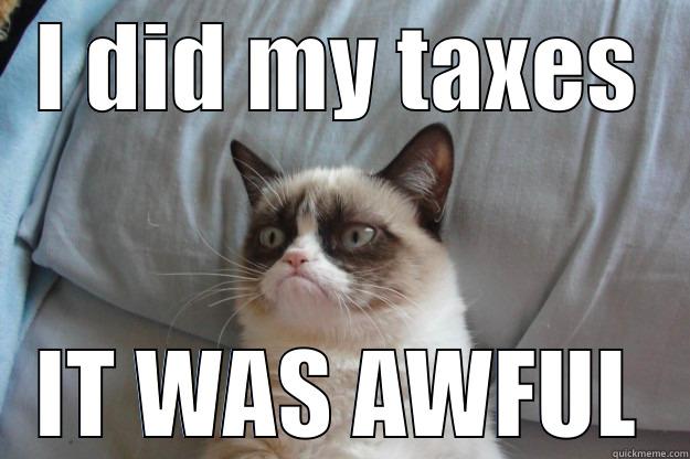 I DID MY TAXES IT WAS AWFUL Grumpy Cat