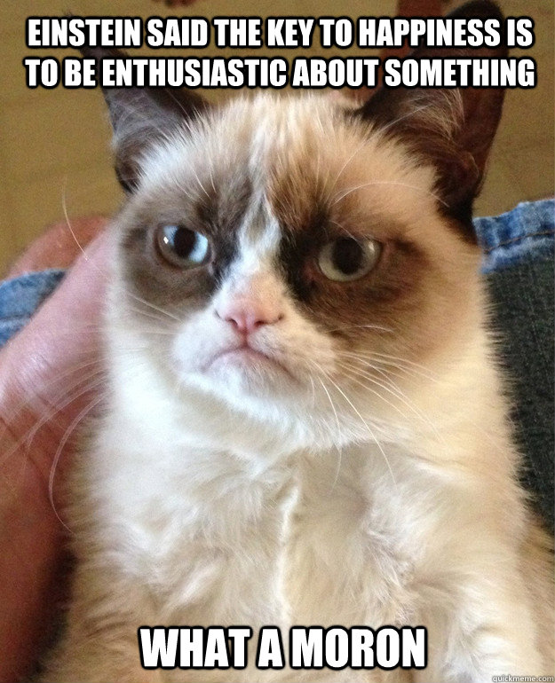 Einstein said the key to happiness is to be enthusiastic about something what a moron  Grumpy Cat