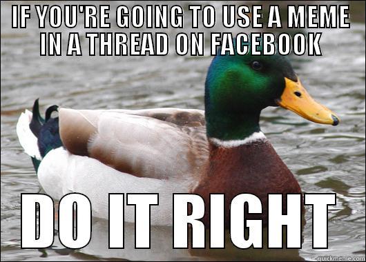 IF YOU'RE GOING TO USE A MEME IN A THREAD ON FACEBOOK DO IT RIGHT Actual Advice Mallard