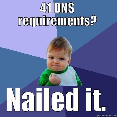 41 DNS REQUIREMENTS? NAILED IT. Success Kid