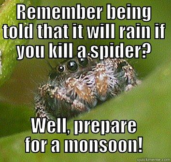 REMEMBER BEING TOLD THAT IT WILL RAIN IF YOU KILL A SPIDER? WELL, PREPARE FOR A MONSOON! Misunderstood Spider