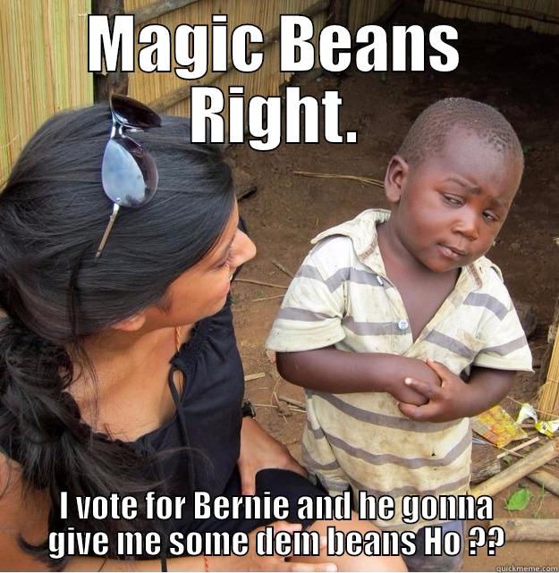 MAGIC BEANS RIGHT. I VOTE FOR BERNIE AND HE GONNA GIVE ME SOME DEM BEANS HO ?? Skeptical Third World Kid