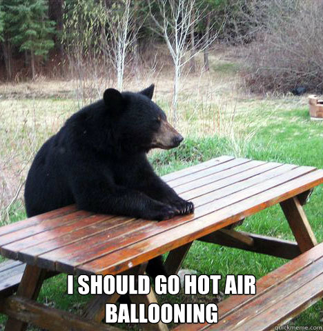  I should go hot air ballooning  waiting bear