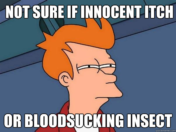 not sure if innocent itch Or bloodsucking insect  Futurama Fry